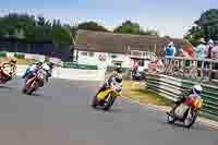 Vintage-motorcycle-club;eventdigitalimages;mallory-park;mallory-park-trackday-photographs;no-limits-trackdays;peter-wileman-photography;trackday-digital-images;trackday-photos;vmcc-festival-1000-bikes-photographs